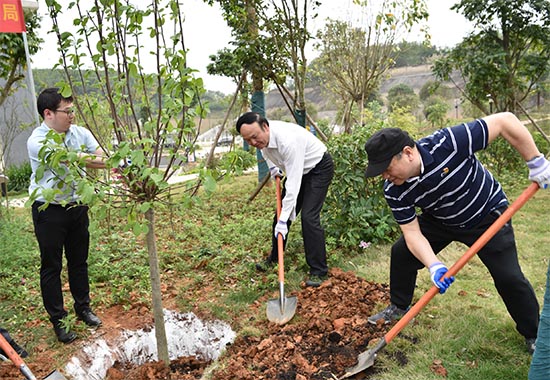 廣西應(yīng)急廳義務(wù)植樹現(xiàn)場