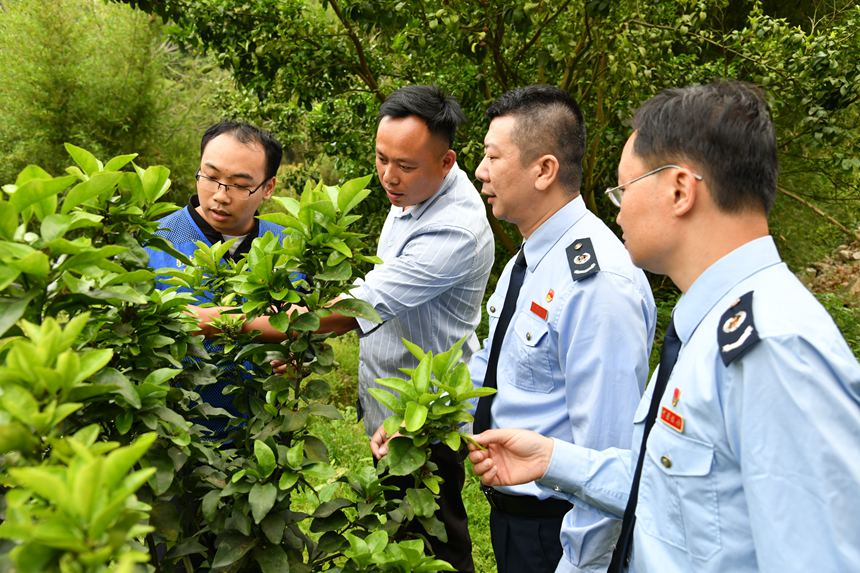 國家稅務總局梧州市長洲區(qū)稅務局稅務人員到梧州市長洲區(qū)倒水鎮(zhèn)三貴村進行稅惠政策宣傳