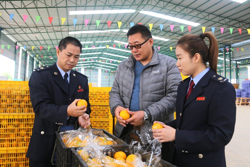 圖為南寧市武鳴區(qū)稅務局服務團隊下農(nóng)企走訪。