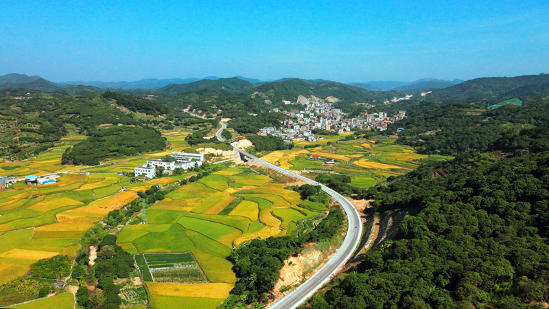 北投公路集團投資建設的G359靈山沙坪至大塘公路在打通交通“最后一公里”的同時，有效帶動沿線荔枝產業(yè)的發(fā)展。