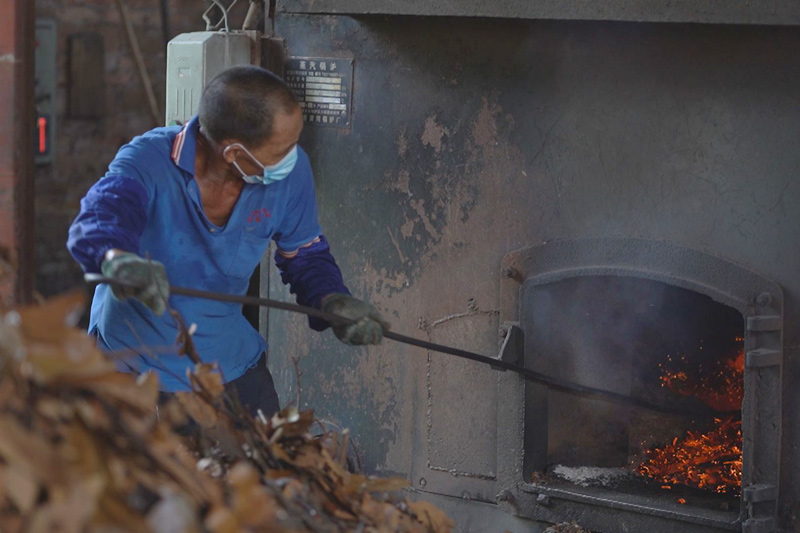 廠房?jī)?nèi)工作人員正在用蒸餾過(guò)的肉桂葉作為燃料高溫蒸餾桂油。