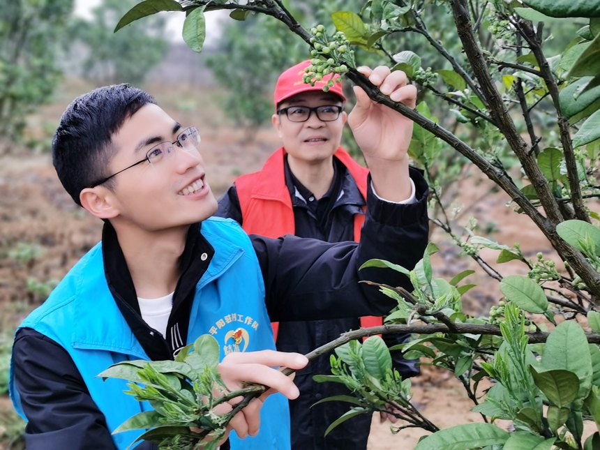 幫扶聯(lián)系點的駐村隊員在果園觀察果樹花期