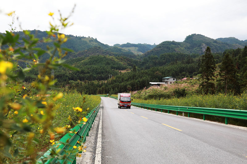 國道357線羅城至環(huán)江二級公路羅城縣一處花團錦簇路段