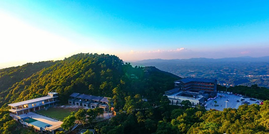 俯瞰石祖禪茶園。浦北縣委宣傳部供圖