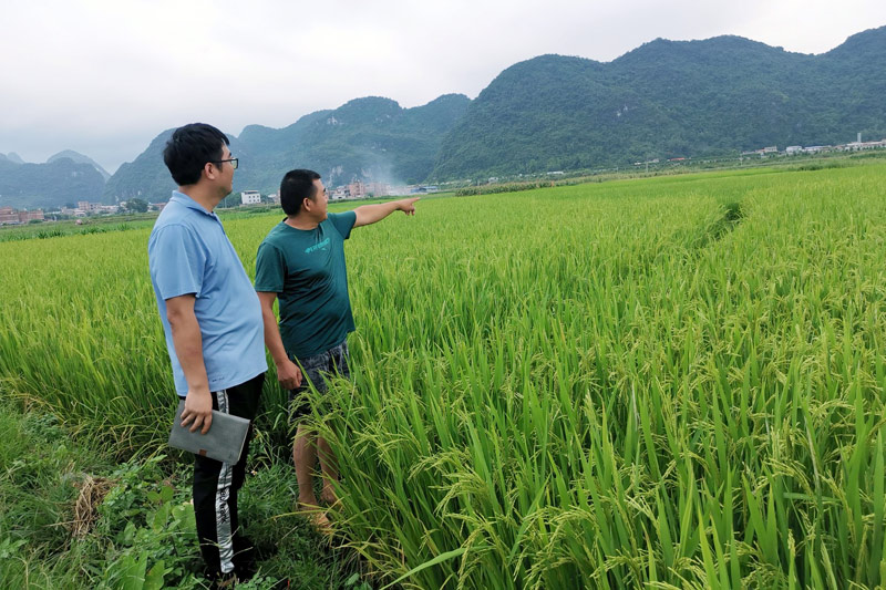 深入田間了解群眾需求，掌握灌溉水利情況，確保農(nóng)民群眾產(chǎn)業(yè)生產(chǎn)保障。