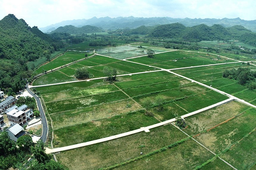 圖為平果市果化鎮(zhèn)全域土地綜合整治項(xiàng)目旱改水工程建成區(qū)