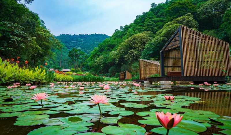 高峰森林公園生態(tài)資源景色。