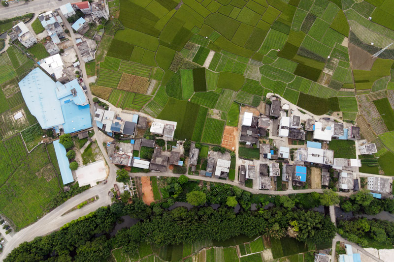 新橋村航拍全景。