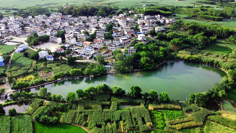 靈湖村全景圖。