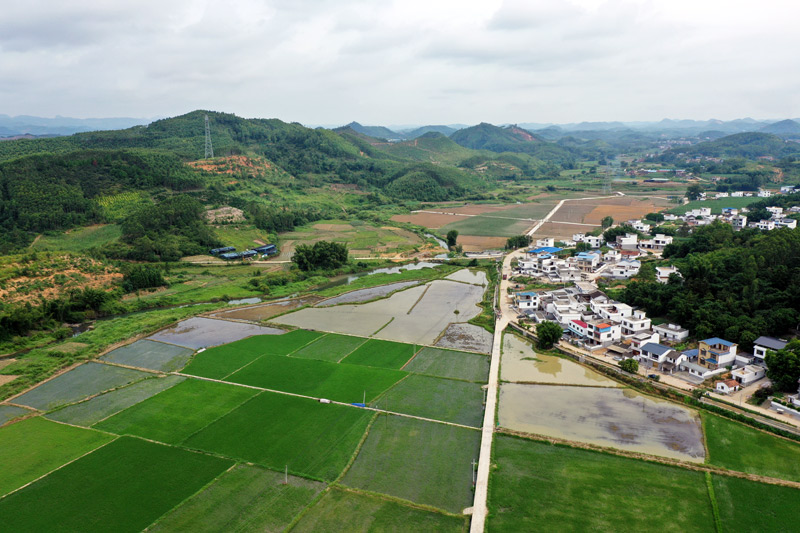 王眉村全景。