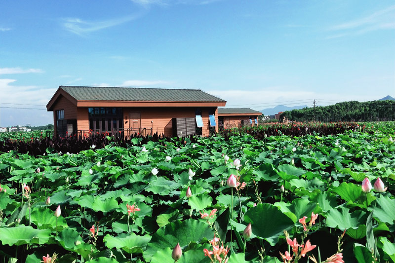 姚山村群山屯內(nèi)的精品民宿。