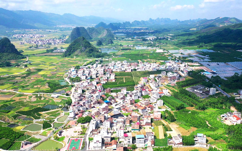 武宣縣桐嶺鎮(zhèn)和律村。