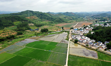 柳州市魚(yú)峰區(qū)白沙鎮(zhèn)王眉村