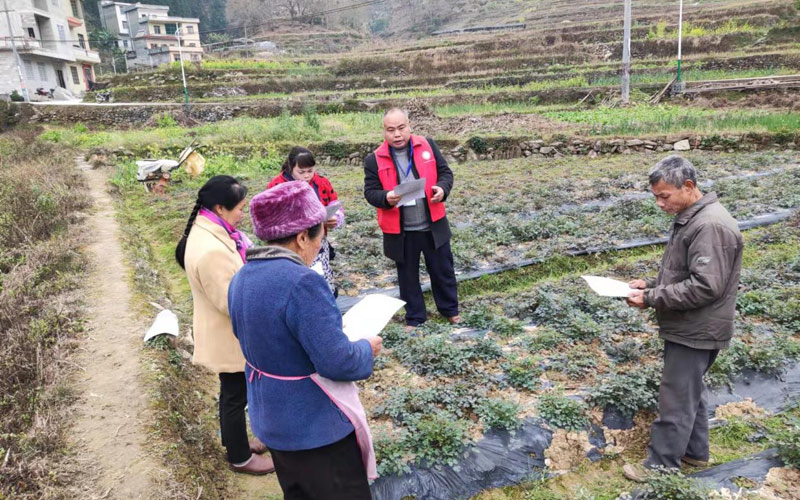 陳建相到隘洞鎮(zhèn)拉板村指導(dǎo)央黃連生產(chǎn)。