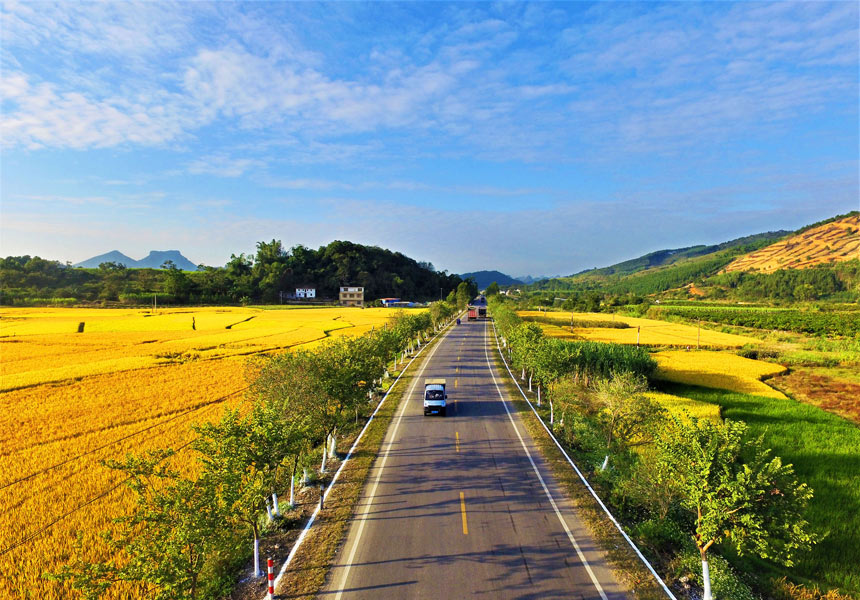 國道209線融安路段車在畫中行。溫厚中攝