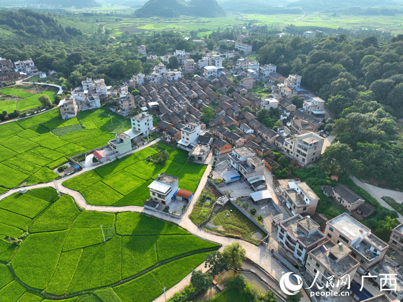 已入選第四批廣西傳統(tǒng)村落名錄的高橋村。人民網(wǎng) 付華周攝