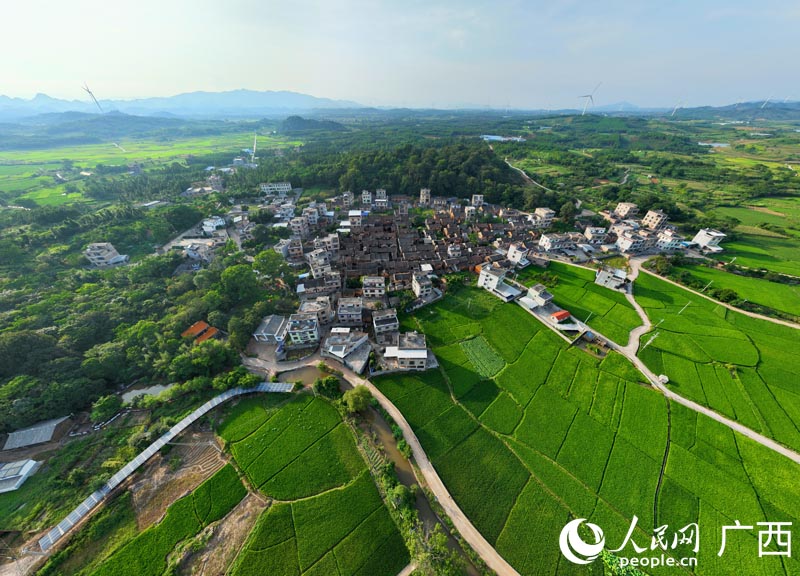 越來越美的高橋村。人民網(wǎng) 付華周攝