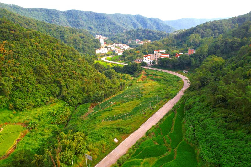 省道205線大容山段其中一段公路沿景    劉軍慶攝