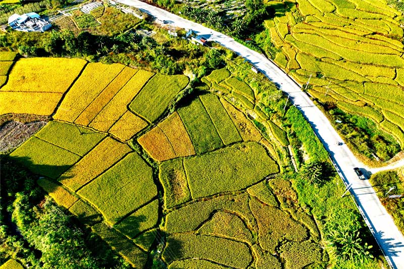 省道205線大容山路段秋天美景  劉軍慶攝