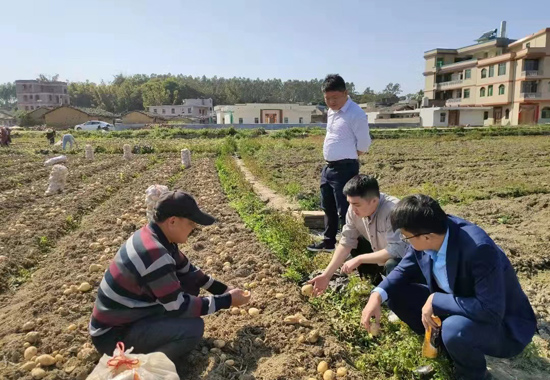 桂林銀行玉林分行工作人員深入田間地頭了解農(nóng)戶金融需求，以制定服務(wù)方案。歐芳蕓攝