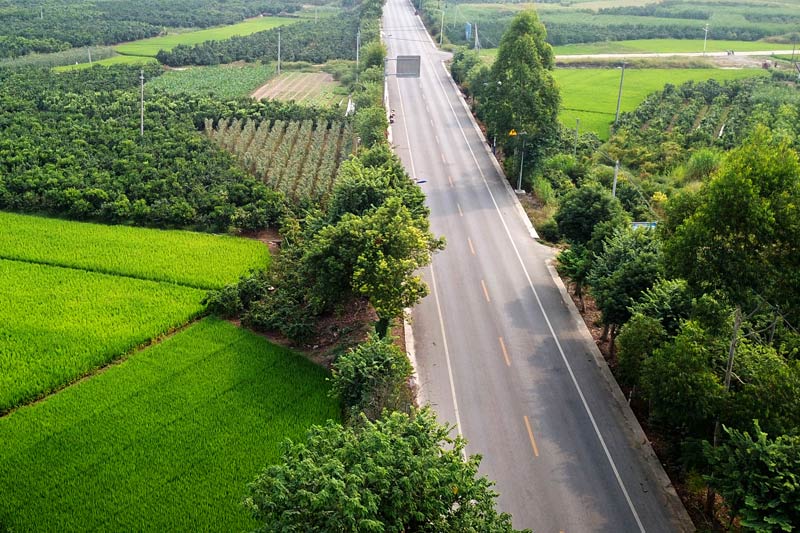 G355線羅秀至大樂公路沿線綠油油的景象   韋文強攝