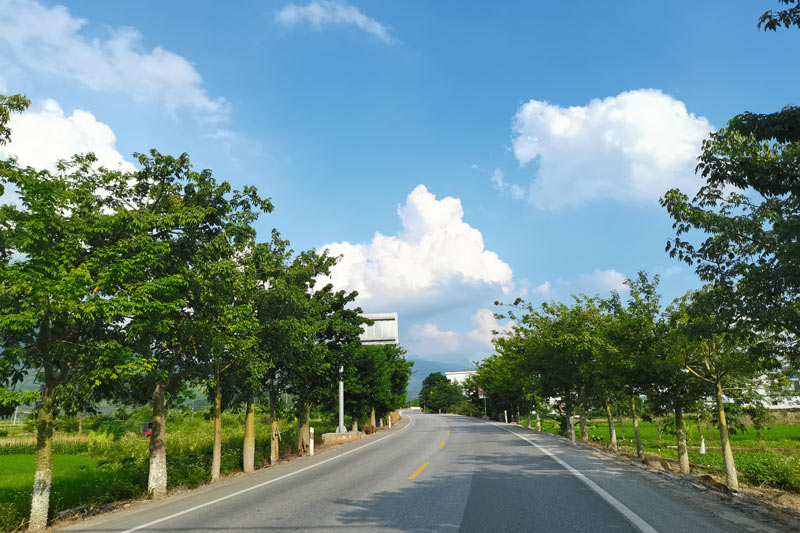 國道210線沿途風景