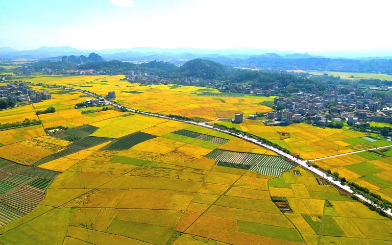 國道241線呼和浩特至交海公路廣西陸川縣珊羅鎮(zhèn)田龍村路段（彭希睦攝）