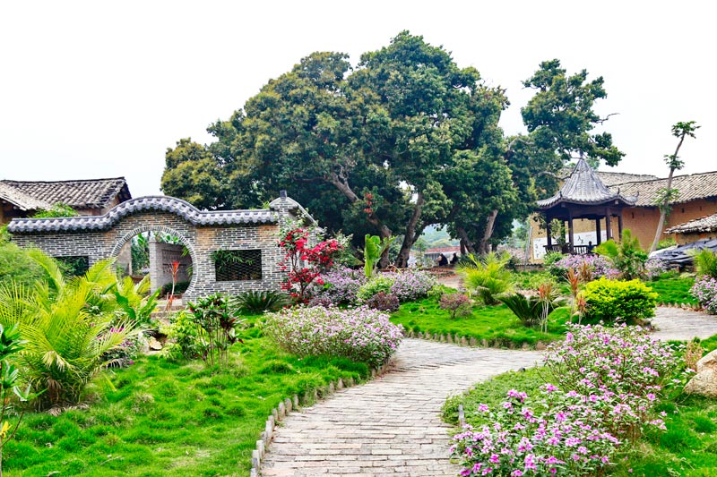 萍塘村后花園。