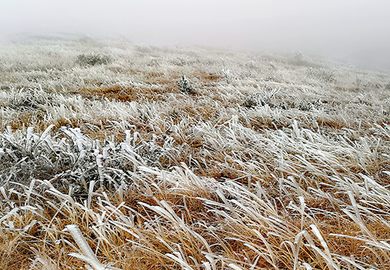 灌陽(yáng)縣天然滑雪場(chǎng)雪景一角。陸仕臣攝