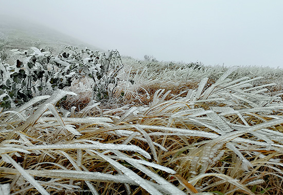 灌陽(yáng)縣天然滑雪場(chǎng)雪景一角。陸仕臣攝