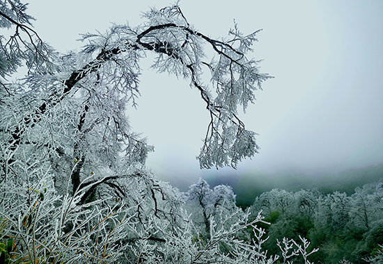 灌陽(yáng)縣天然滑雪場(chǎng)雪景一角。陸仕臣攝