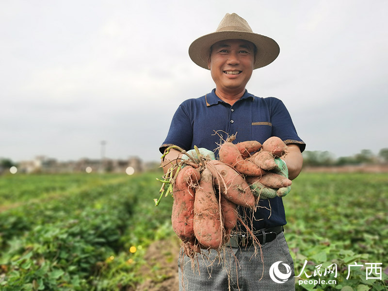 種植戶展示剛挖出來的新鮮紅薯。人民網(wǎng) 付華周攝