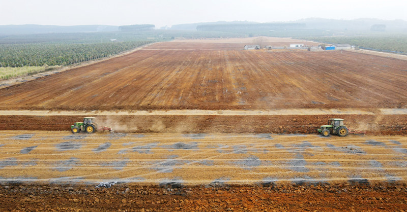 東江公司蔗區(qū)（東盟開發(fā)區(qū)定西基地），駕駛犁耙機(jī)翻種土地，為春種做準(zhǔn)備。