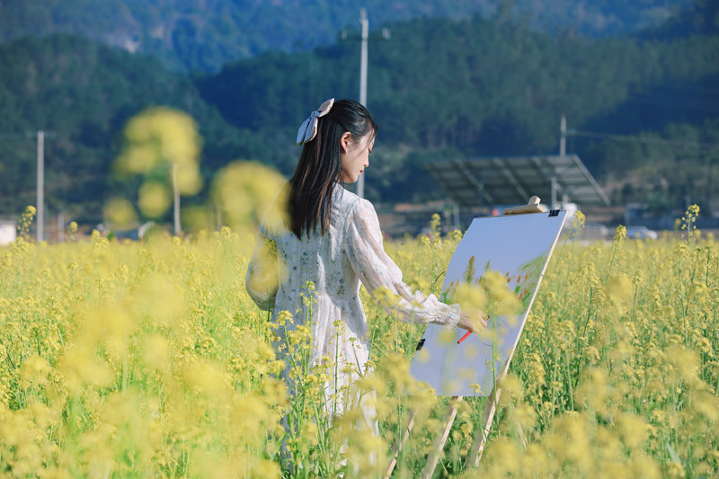 一位游客在油花菜田里寫生創(chuàng)作。東蘭縣融媒體中心供圖