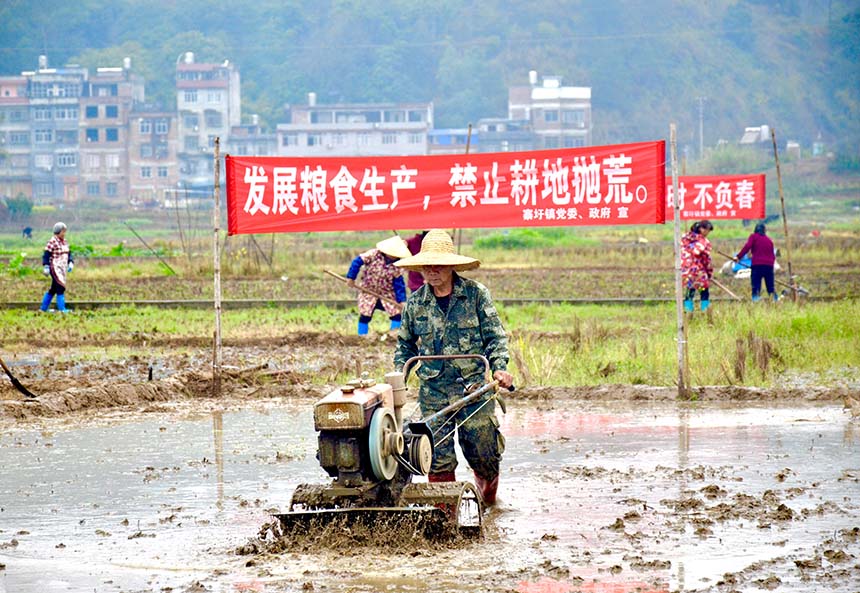 村民正在進(jìn)行翻耕。羅嬋攝