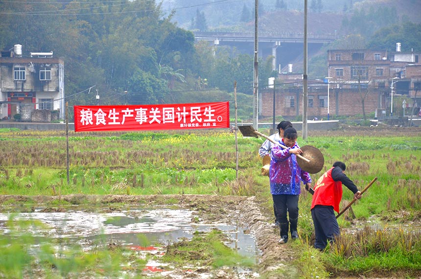 村民春耕備耕忙。羅嬋攝