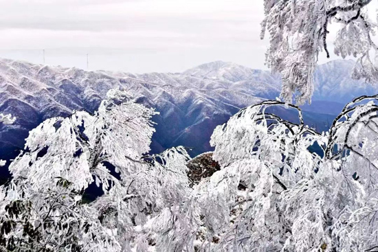 冬季到寶蓋山中國桂林（灌陽）戶外冰雪旅游訓練基來看雪。王云波攝