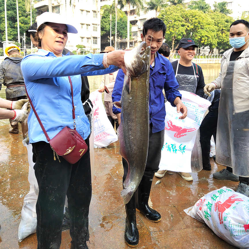 捕撈上岸的“魚王”重達18斤。廣西醫(yī)科大學(xué)供圖