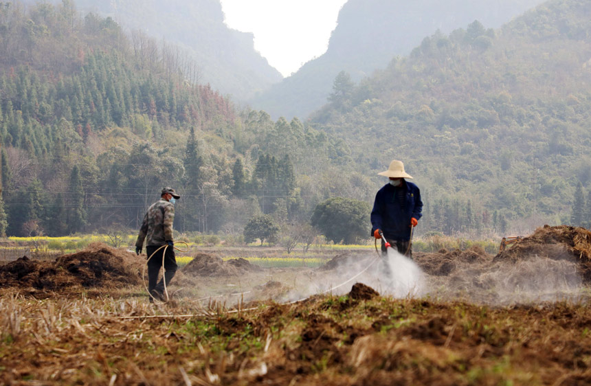 農民正在對撂荒田進行除草。