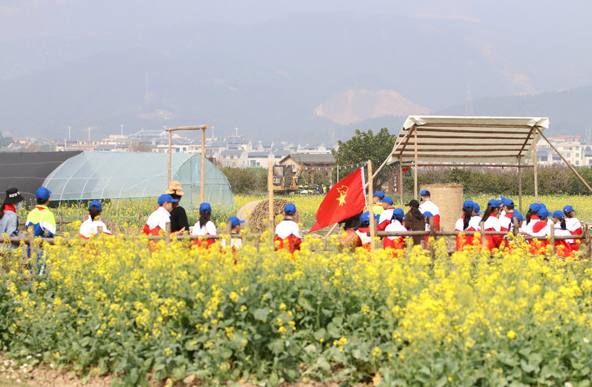 港北區(qū)貴城街道西江小學(xué)師生在幸福田園感悟耕種文化。樊超龍攝