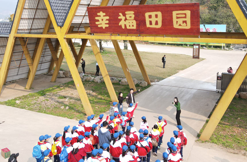 港北區(qū)貴城街道西江小學(xué)師生在幸福田園感悟耕種文化。樊超龍攝