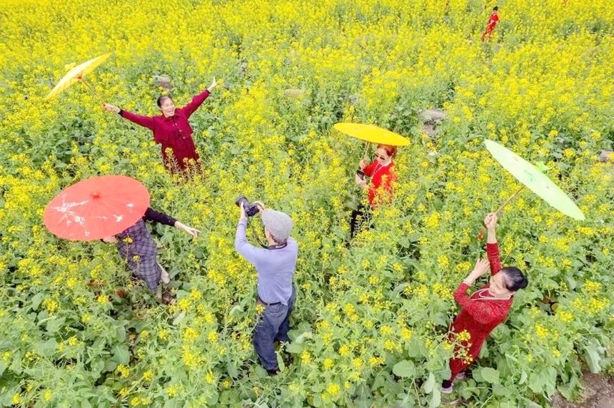 游客在油菜花地里拍照留念。韋偉海攝