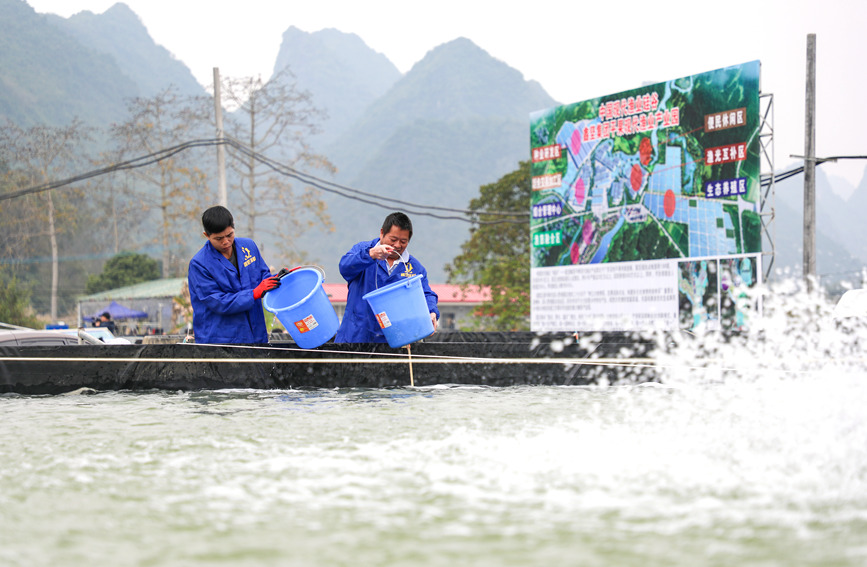 工人對魚池進行管護。