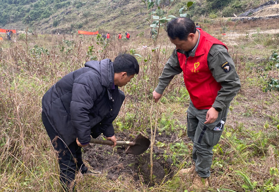 共同植樹。