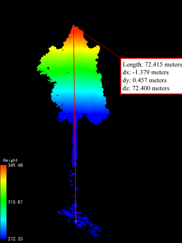 通過激光雷達點云數(shù)據(jù)量測，望天樹高度為72.4米.jpg