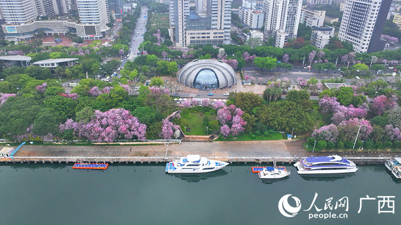 觀光游船?？苛輺|堤旅游碼頭。人民網(wǎng) 付華周攝