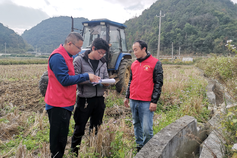 余金恒和村“兩委”在田邊調(diào)研。包丹丹攝