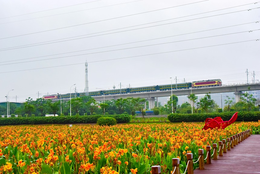 綜合檢測列車駛過南寧市那考河濕地公園。陳泉任攝