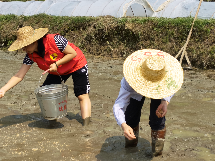 梁玥悅（左）幫助農(nóng)戶播種。受訪者供圖