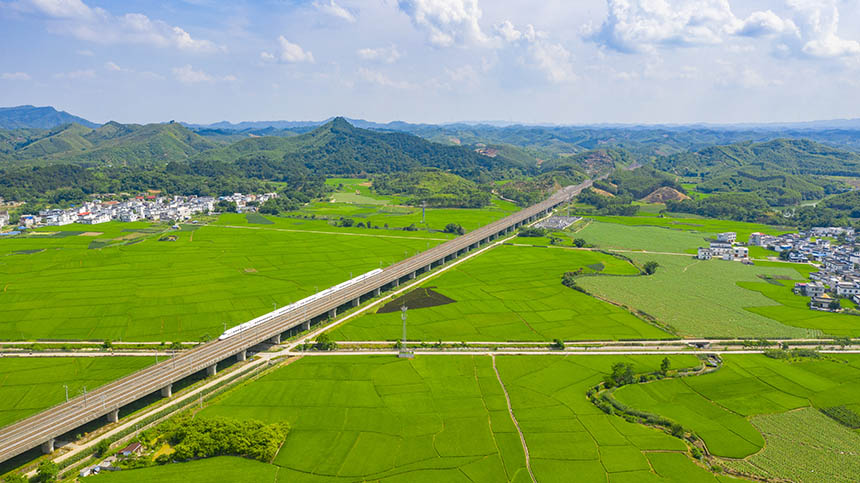 航拍夏日田園風光。